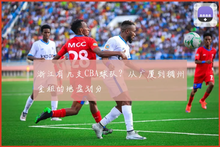 浙江有几支CBA球队?从广厦到稠州金租的地盘划分