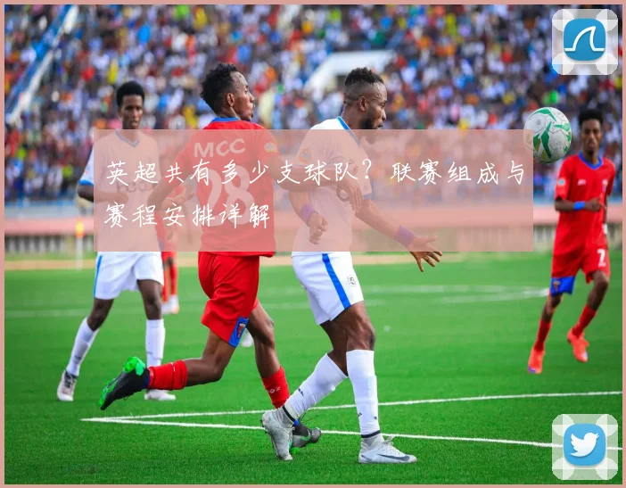 英超共有多少支球队？联赛组成与赛程安排详解